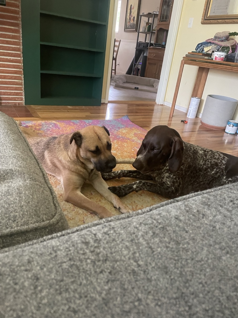 ruddy and pammy 1